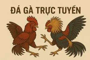 Trận đấu đá gà trực tuyến hấp dẫn trên nền tảng Daga TV